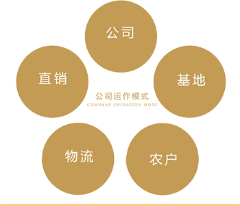 桃李东风食品产业园